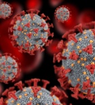 שפעת העופות - תמונת המחשה